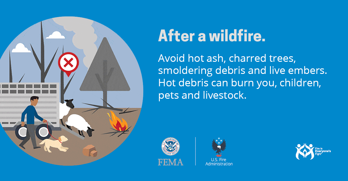 Safety infographic advising to avoid ash, charred trees, and embers after a wildfire to prevent burns.