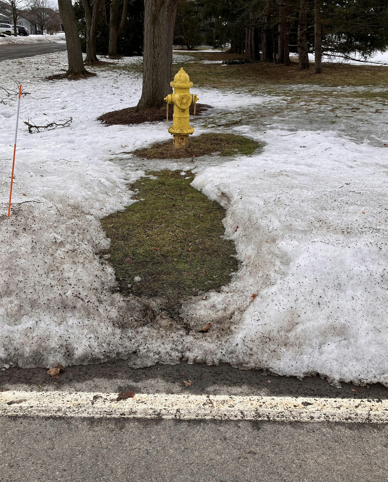 A yellow fire hydrant stands on a patch of grass, surrounded by melting snow and a clear asphalt road nearby.