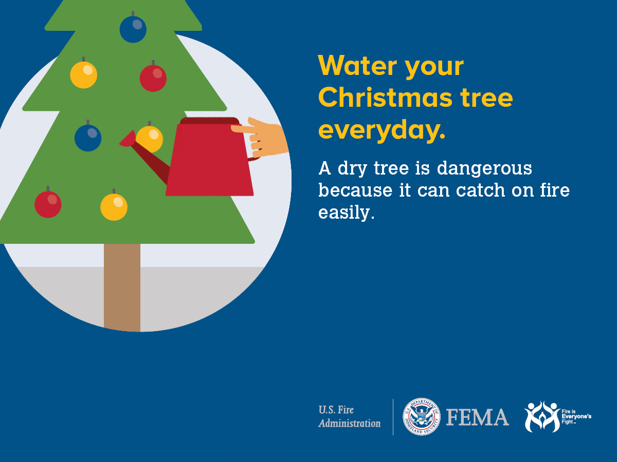 Graphic advising to water Christmas tree daily to prevent fire, by U.S. Fire Administration and FEMA.