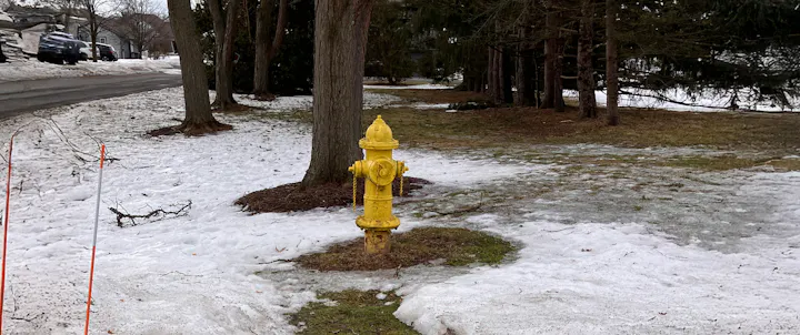 A yellow fire hydrant stands in a snowy, grassy area next to trees, with a road visible in the background.