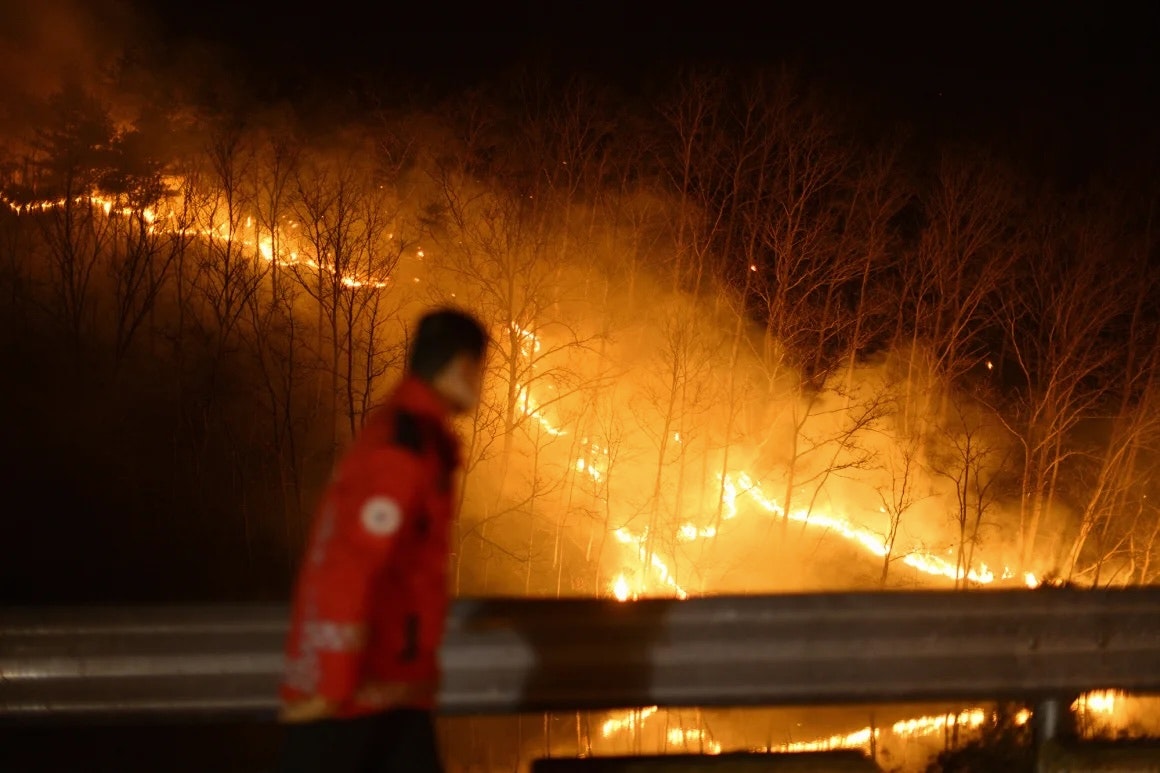 A forest fire rages at night as a forest service firefighter in a red jacket stands on a bridge in the foreground.