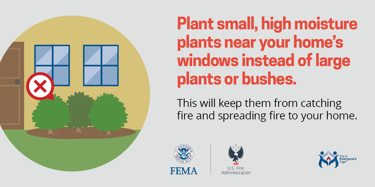 Fire safety tip: Plant small, moist plants near windows, not large ones, to prevent fires spreading to your home. #FireSafety