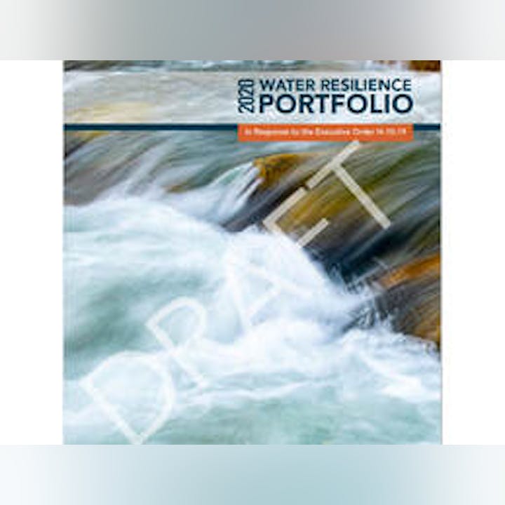 Cover of the "2020 Water Resilience Portfolio" with flowing water and "DRAFT" text overlay.
