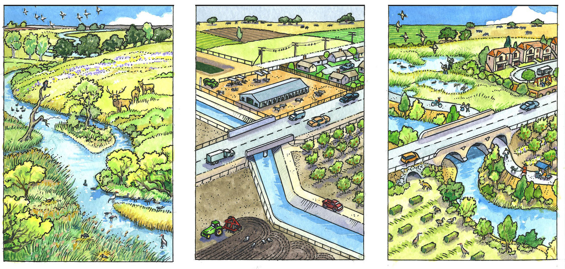 Three panels show landscapes: a river with wildlife, an industrial area by a canal, and a village with wetlands and agriculture.
