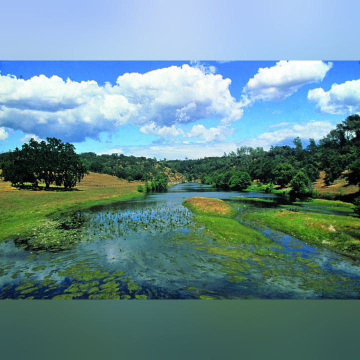 A scenic river landscape with lush greenery, trees, and a cloudy blue sky.