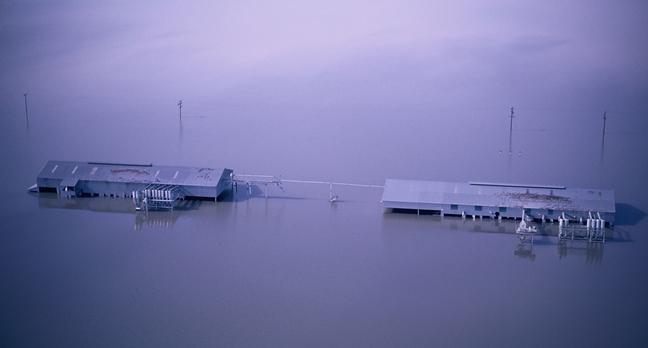 Two partially submerged buildings in flooded water, with power lines visible.