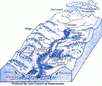 Illustration of a watershed, showing snowpack, precipitation, tributaries, agriculture, lake, town, forest, and groundwater recharge.