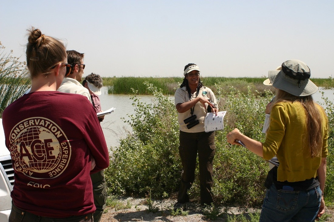 A group of people outdoors, one person speaking and holding papers near wetland vegetation.