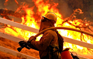 A firefighter in protective gear battles a large blaze with a hose, in front of a white fence and burning trees.