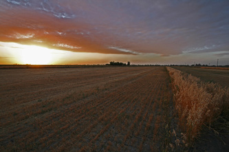 Sunset over an expansive, harvested field with a line of trees on the horizon under a sky filled with clouds.