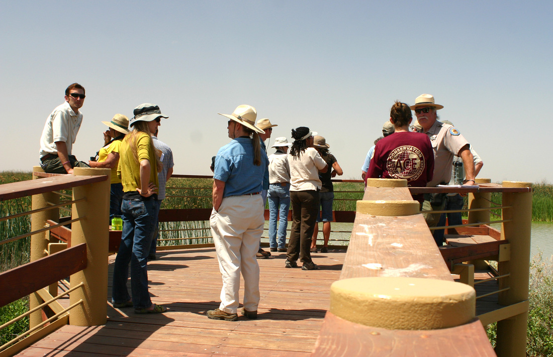 A group of people on a wooden observation deck by a marsh, wearing hats for sun protection.