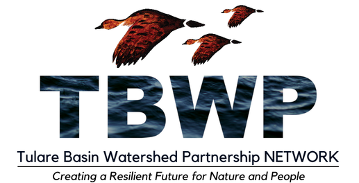 TBWP logo with flying birds. Text: "Tulare Basin Watershed Partnership Network. Creating a Resilient Future for Nature and People."
