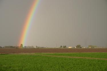 A rainbow arcs over a green field and distant buildings under a gray sky.