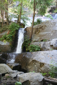 A small waterfall flows between rocks and trees in a forest setting.