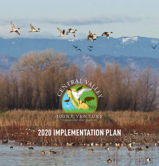 Cover image for "Central Valley Joint Venture 2020 Implementation Plan" with flying ducks over wetlands.
