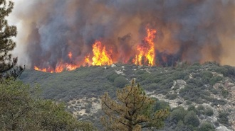 A wildfire burning on a hillside with thick smoke and flames.