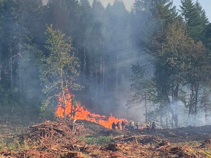 Forest fire with large orange flames with firefighters fighting the flames with water hoses