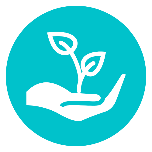 The image features a stylized hand holding a small plant with two leaves, symbolizing care for nature or growth.