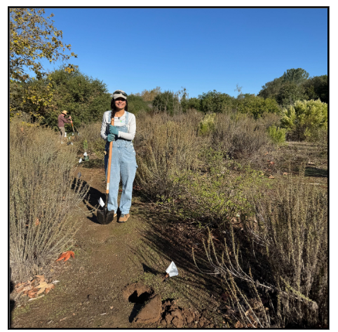 A person in overalls holds a shovel in a garden, with shrubs and trees in the background, participating in outdoor work.