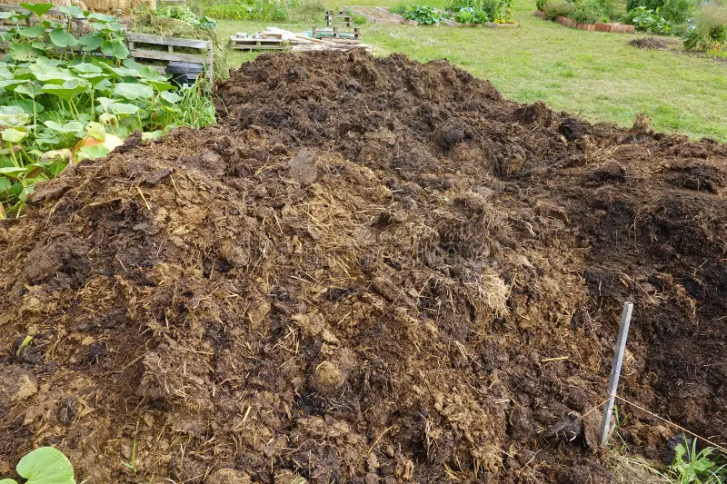 A large pile of compost or manure on a garden or farm field.