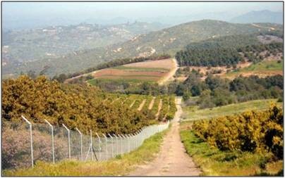 Historical image of agricultural land in Mission RCD's district in North San Diego County.