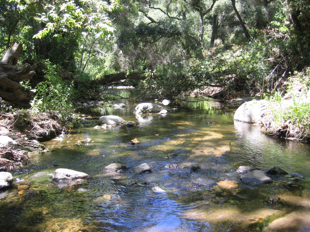 May contain: water, nature, outdoors, creek, and stream