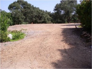 May contain: dirt road, road, gravel, and path