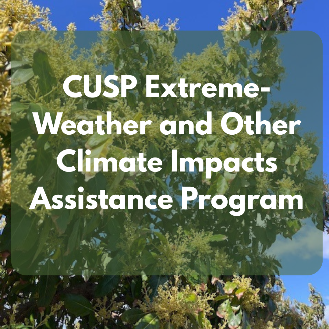 Text: "CUSP Extreme-Weather and Other Climate Impacts Assistance Program" over a tree background.