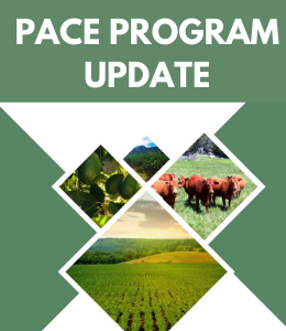 "PACE Program Update" text with images of green fields, avocados, cattle, and mountains.