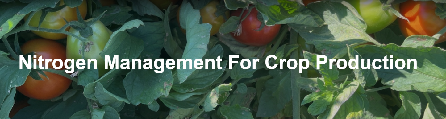 Tomatoes surrounded by green leaves with the text "Nitrogen Management For Crop Production."