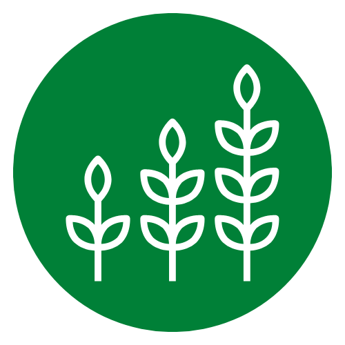 Green circle with plants outline