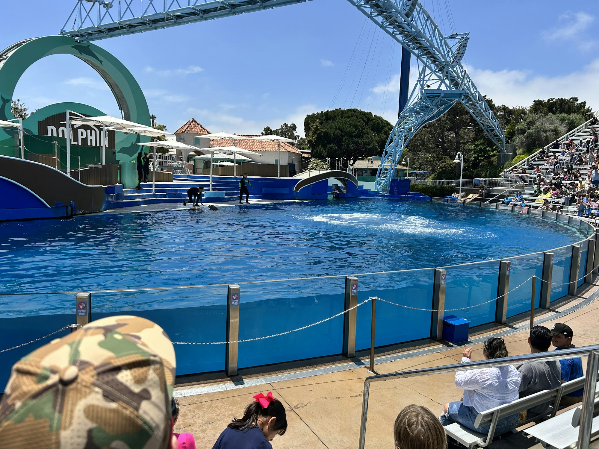 An outdoor dolphin show with trainers in a pool. People are seated to watch the performance.