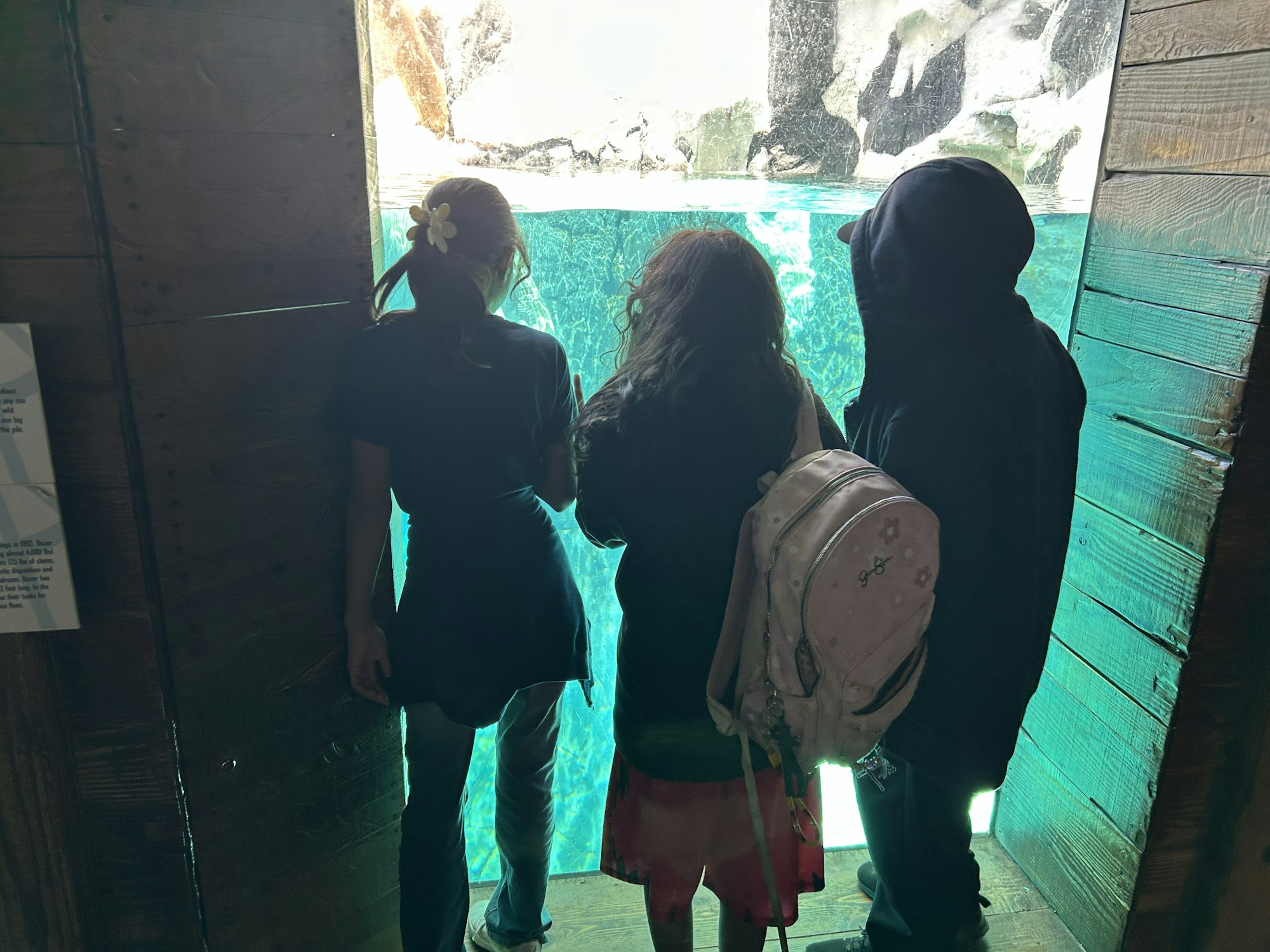 Three people looking at an aquarium or pool through a glass window, with turquoise water and rocky background.