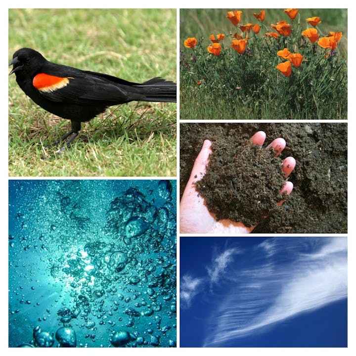 Natural resources; wildlife, plants, soil, air and water.