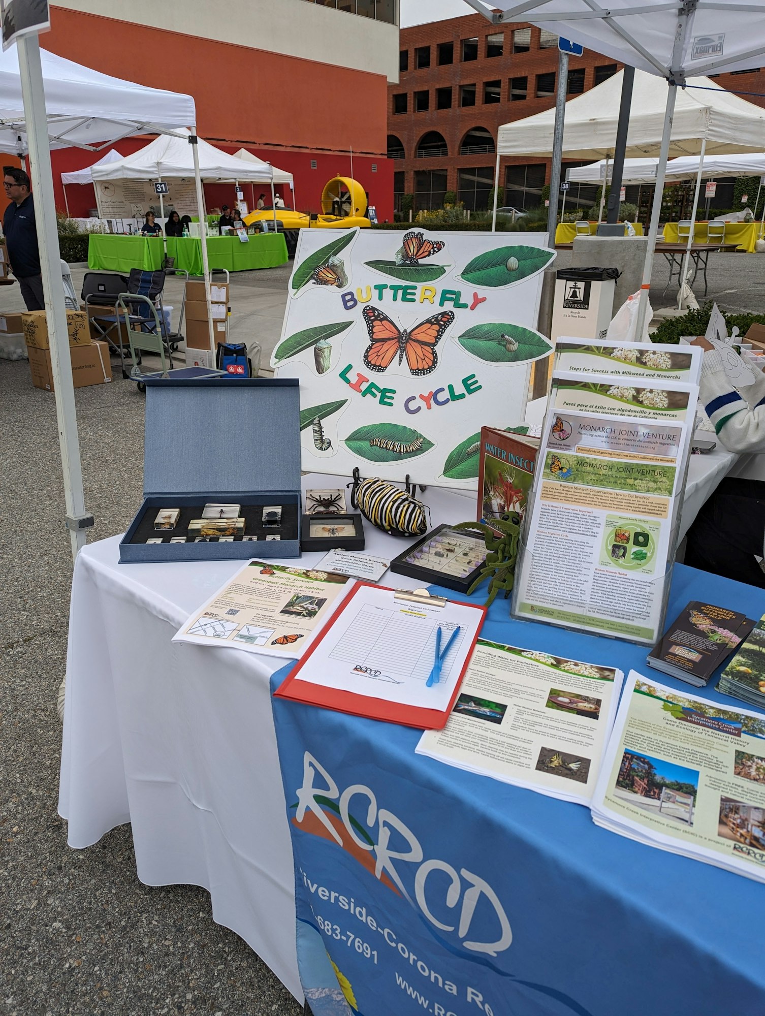 Outdoor booth displaying butterfly life cycle materials, educational brochures, and insect specimens.