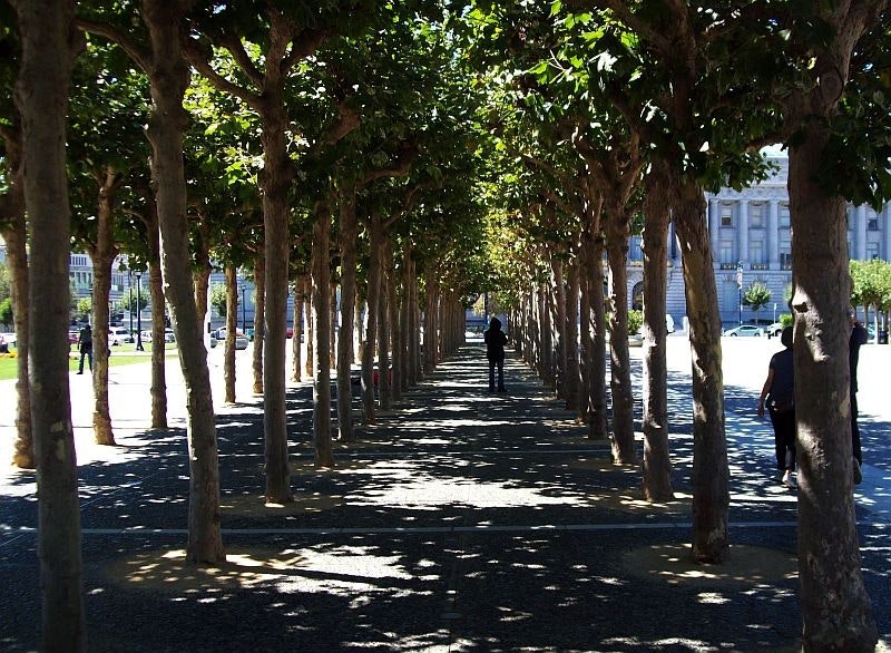 A tree-lined pathway with people walking, creating a tunnel-like effect with sunlight filtering through the leaves.