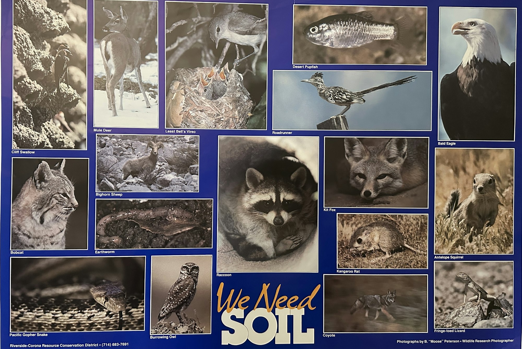 Poster featuring various wildlife photos, including birds, mammals, reptiles, and a fish. Text reads "We Need Soil."