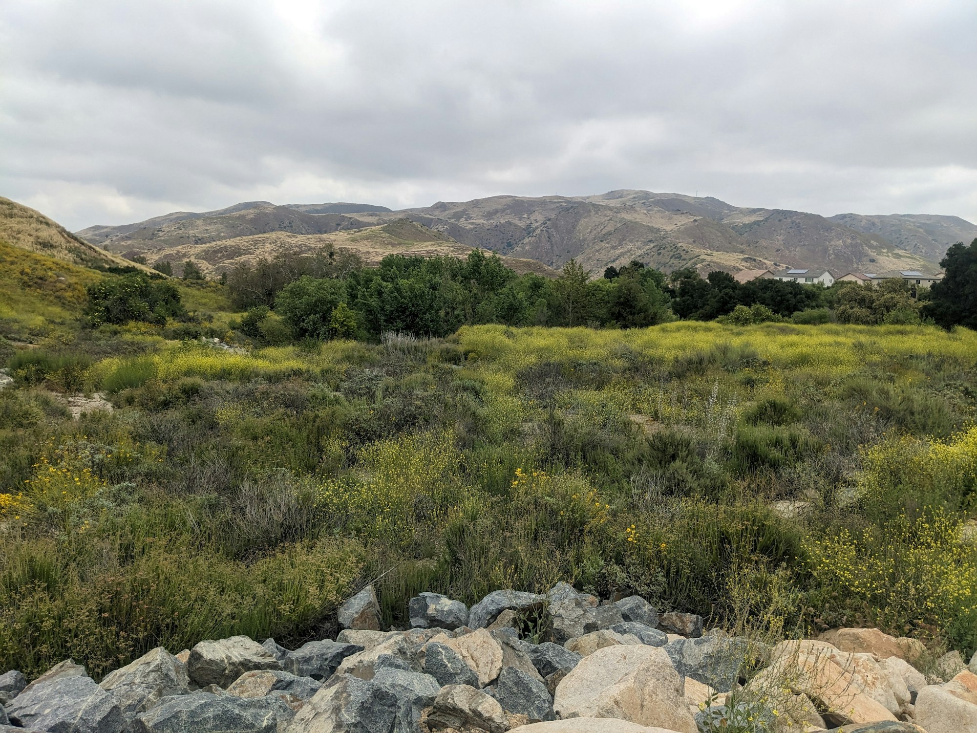 Sycamore Creek Conservation Easement