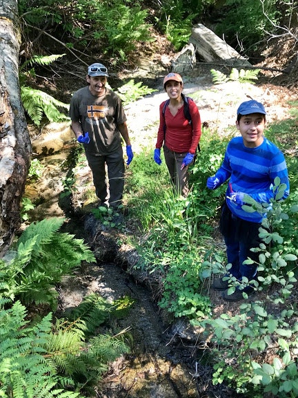 May contain: person, human, outdoors, path, trail, plant, and vegetation