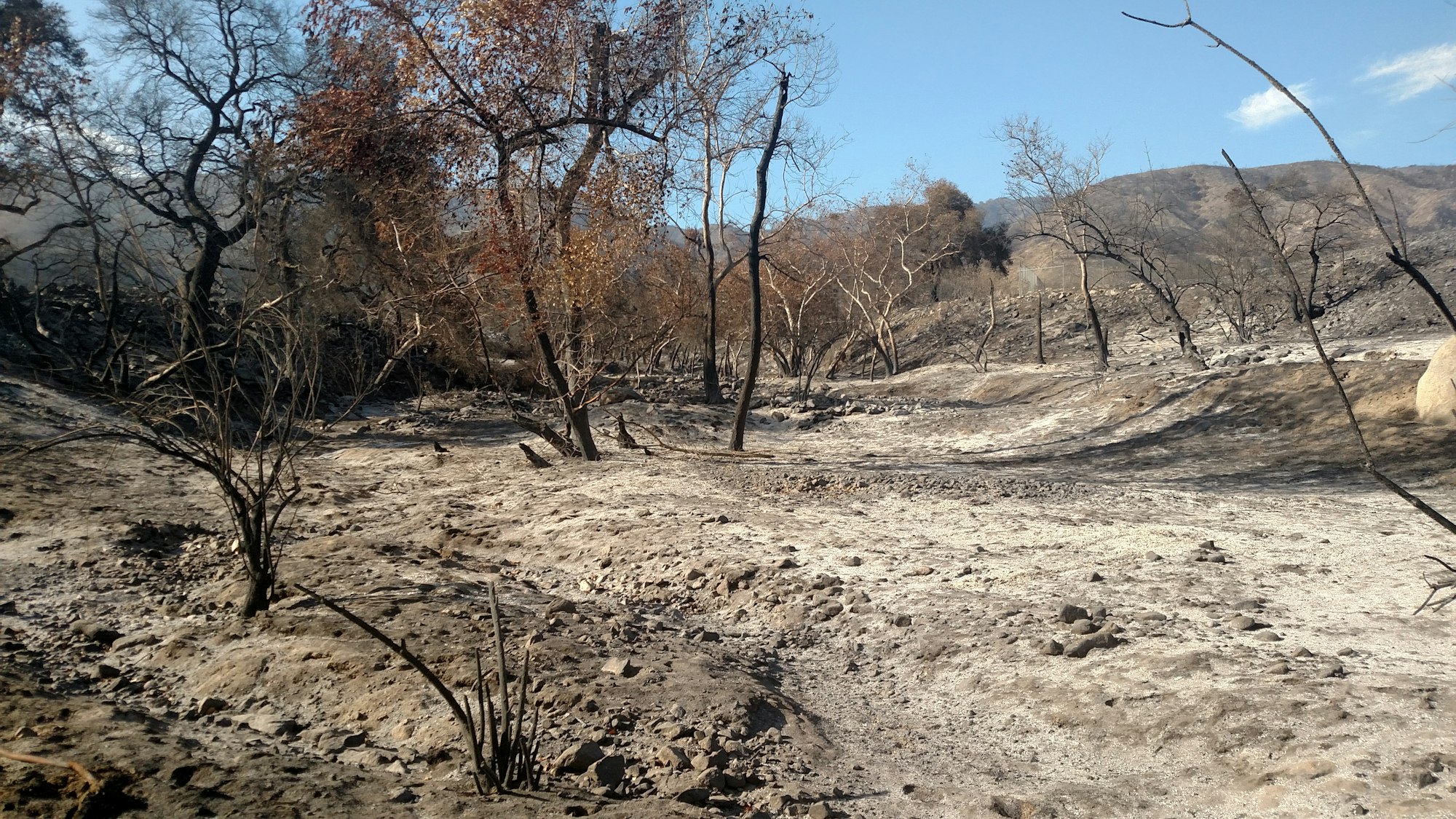 RCRCD property after Holy Jim Fire 2018