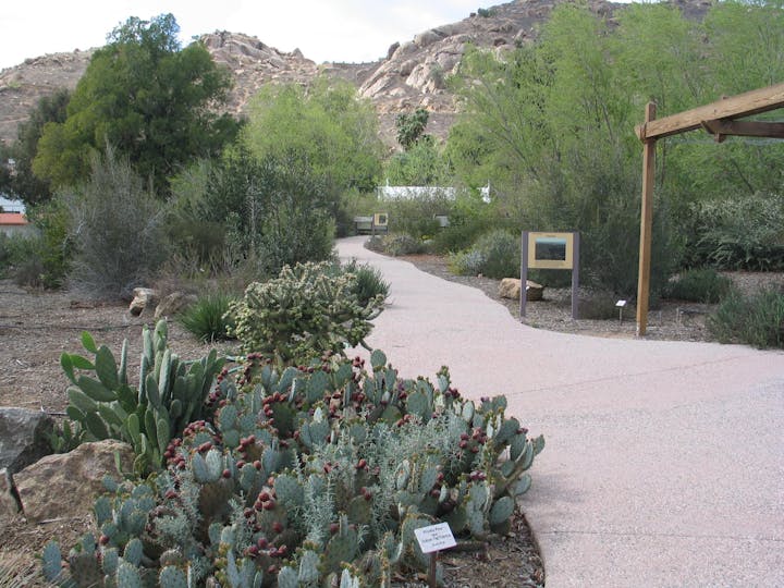 Native habitat trail at LandUse Learning Center