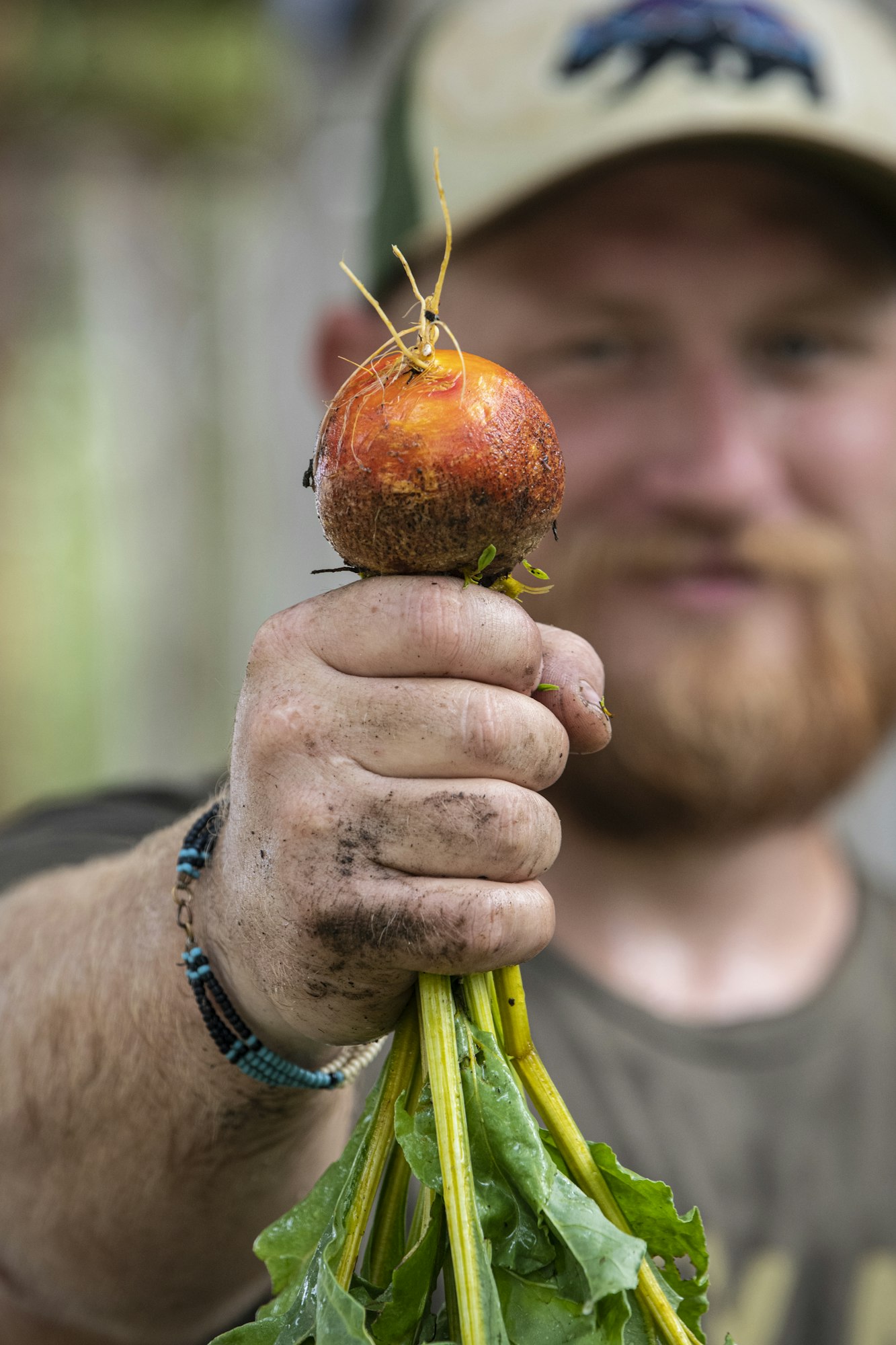 A person holds a freshly harvested beetroot with green leaves, showcasing their dirt-covered hands, indicating a gardening activity.