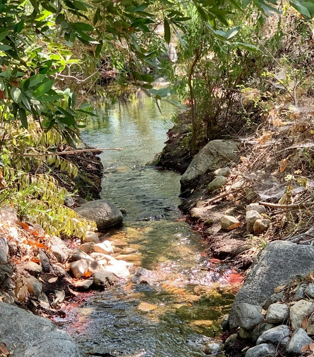 Image of stream at the LandUse Learning Center