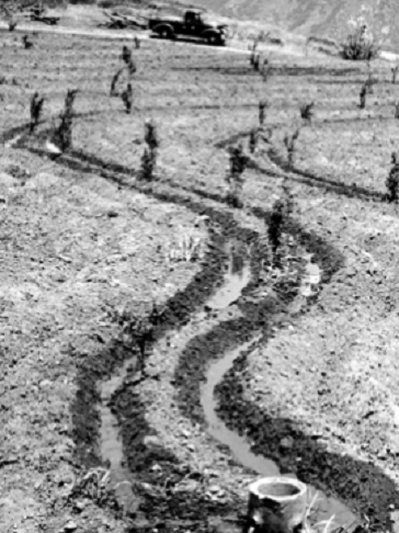 May contain: image of early contour furrow irrigation practices.