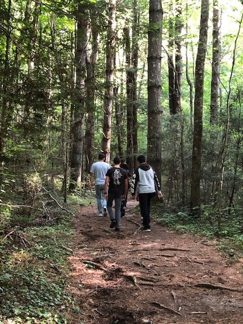 Image of teenagers walking through a forest.