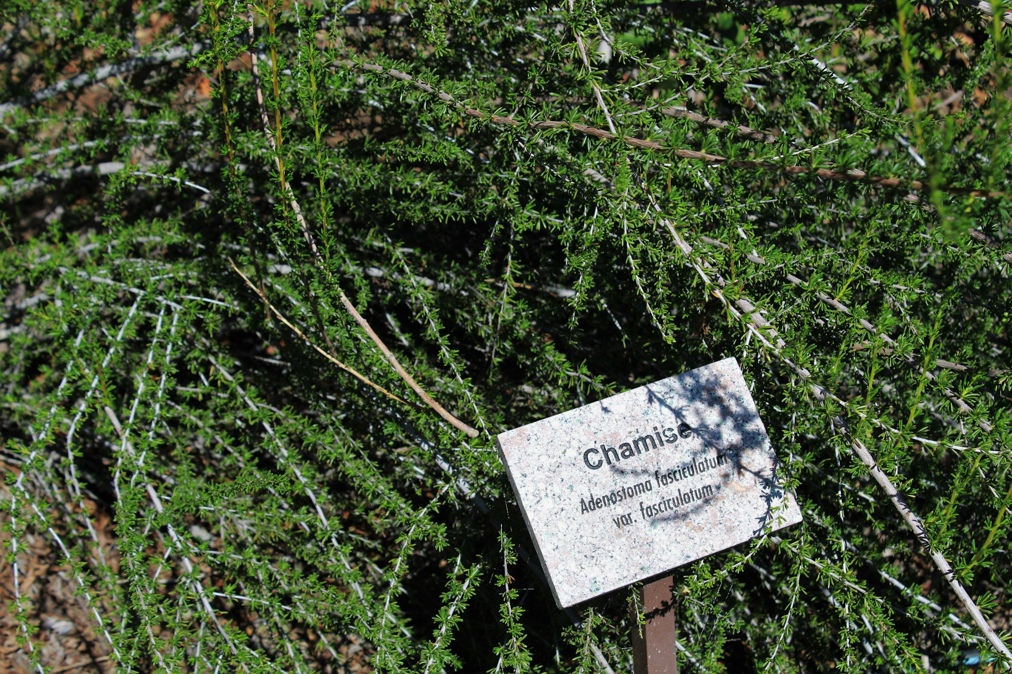 Sign in plant