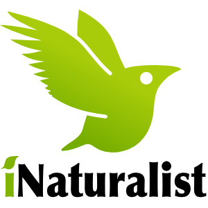 iNaturalist logo