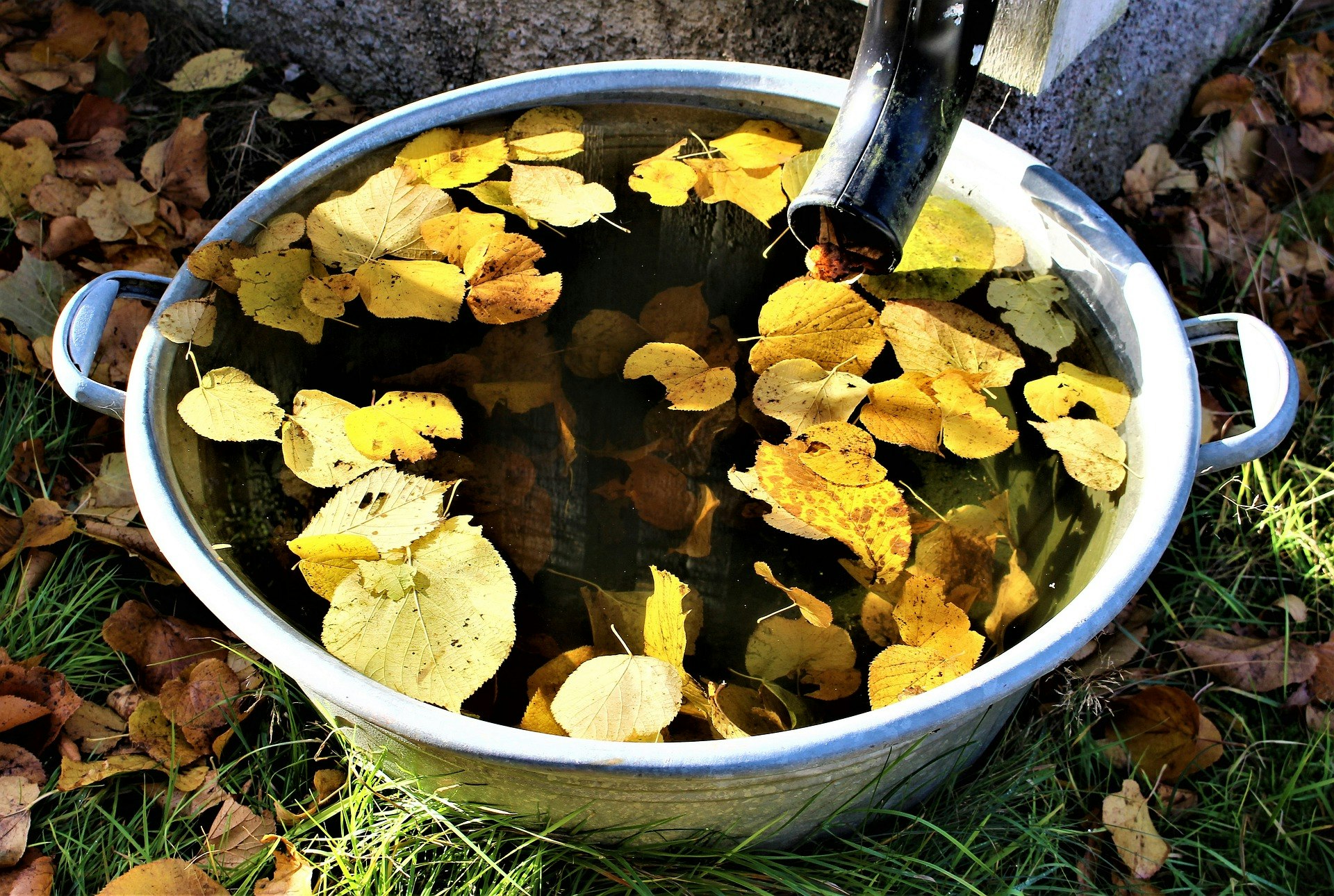 Rain water collection