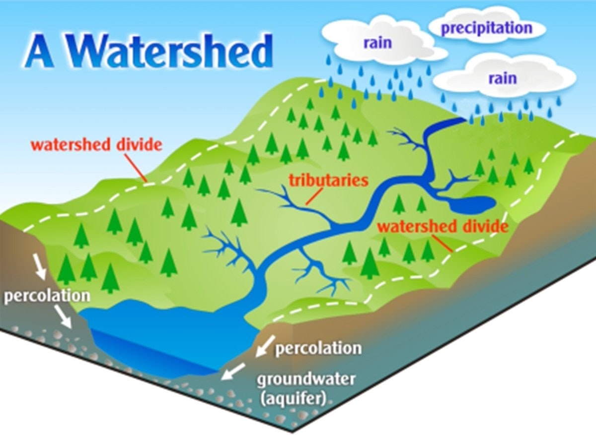 Diagram of a watershed