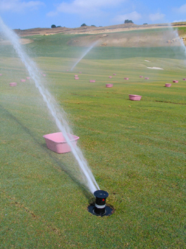 Sprinklers watering a grassy field.